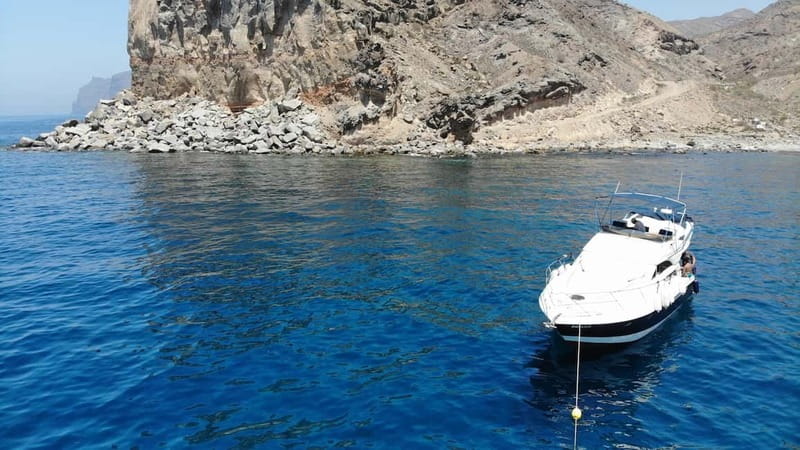 Mogan: Dolphin Watching Boat Trip with Swim Stop - Setting out from Puerto de Mogan