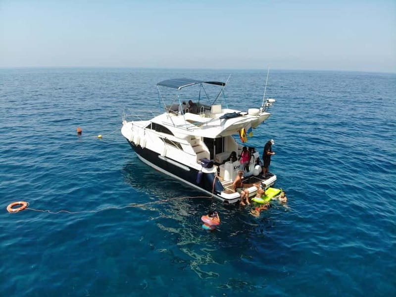 Mogan: Dolphin Watching Boat Trip with Swim Stop - Dolphins are possible, not guaranteed