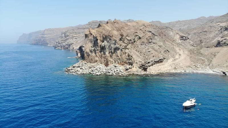 Mogan: Dolphin Watching Boat Trip with Swim Stop - Booking details that matter