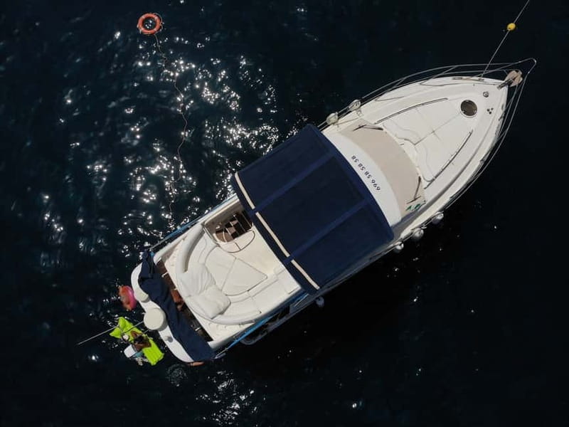 Mogan: Dolphin Watching Boat Trip with Swim Stop - Should you book this dolphin trip?
