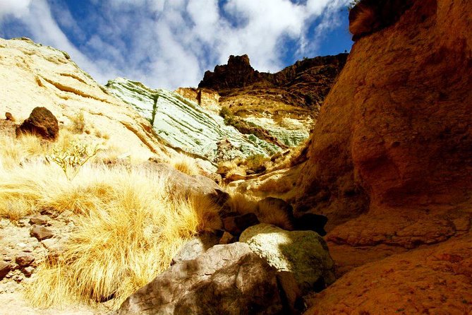 Mogán, La Aldea, Las Canteras - Big Island Tour Gran Canaria - Key points to know before booking