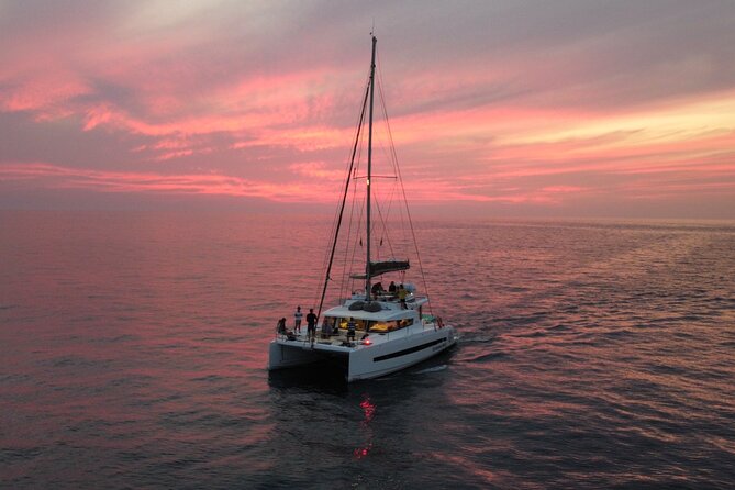 Morning cruise - Key points to know before booking