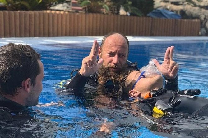 Open Water Diver Scuba Diving Course in Puerto de Mogan - What happens at Delphinus Diving School