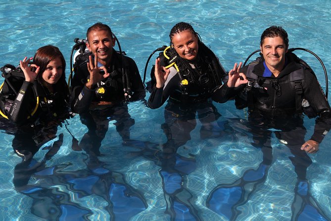 Open Water Diver Scuba Diving Course in Puerto de Mogan - Four ocean sessions around Gran Canaria