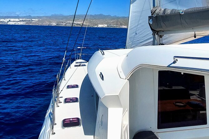 Private 5 hour catamaran cruise in south of Gran Canaria - Jani, his wife, and the personal service
