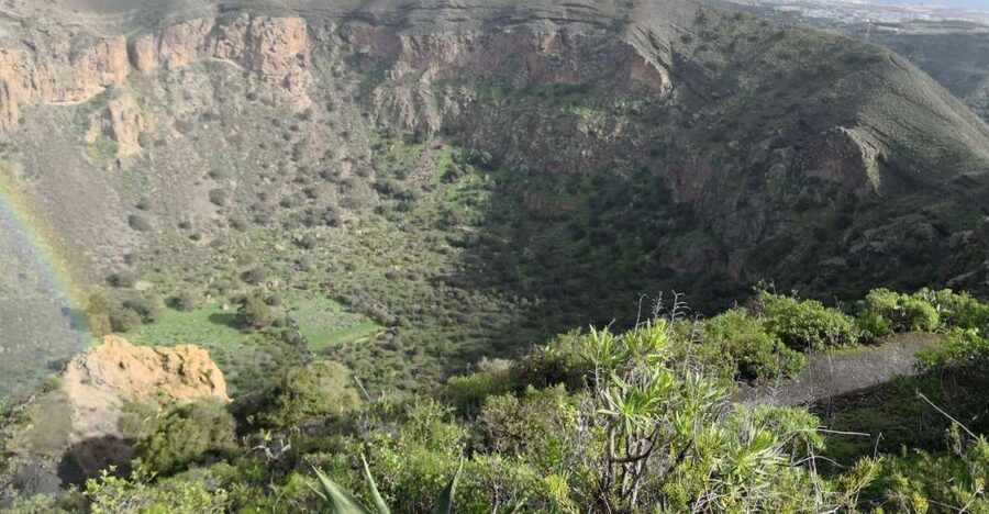 Private Bandama Caldera Volcano, Botanic Garden & Old Town - A smart half-day introduction to Gran Canaria