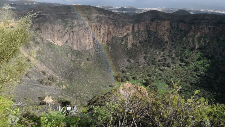 Private Bandama Caldera Volcano, Botanic Garden & Old Town - Is $124 per person fair value?