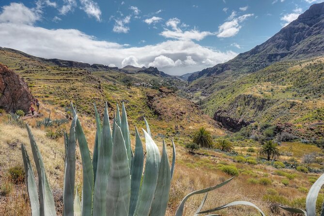 Private shore excursion in Gran Canaria the miniature continent - Watching the vegetation change near the north