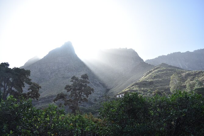 Private Shore Excursion in Gran Canaria - Pico de Bandama gives you the big picture