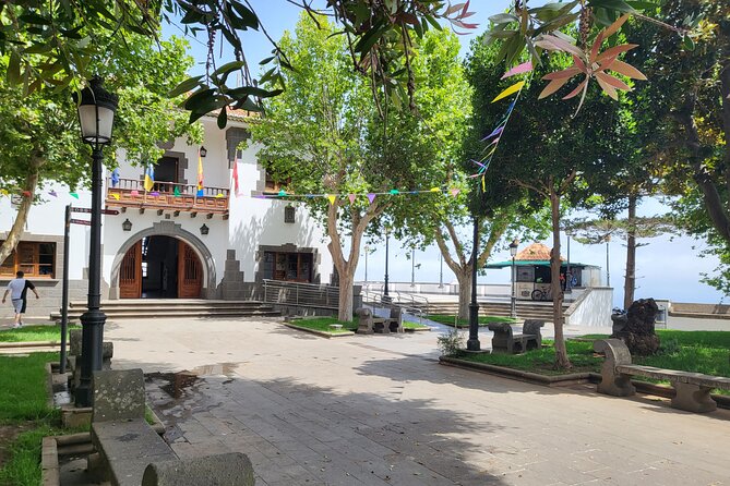 Private Tour from the Port of Las Palmas to Teror Firgas Arucas - Who should book this Gran Canaria outing?
