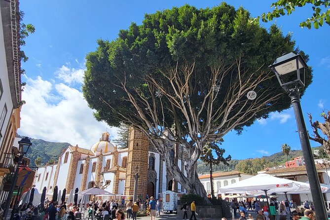 Private Tour from the Port of Las Palmas to Teror Firgas Arucas - Timing, cancellation, and booking details