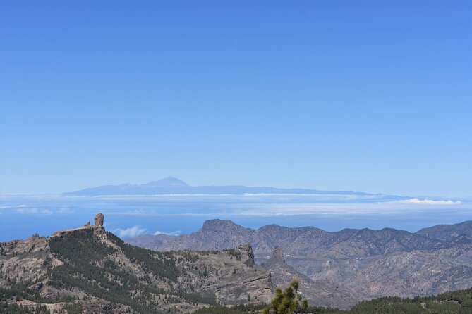 Private Tour Guide in Gran Canaria - Key points to know before booking