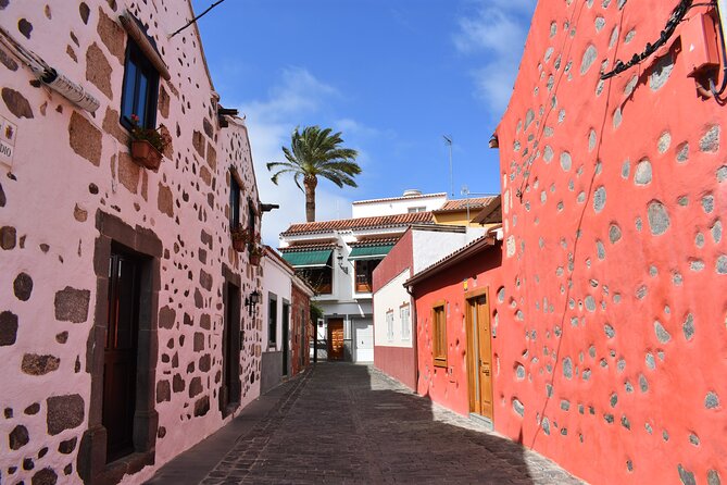 Private Tour Guide in Gran Canaria - Agaete Valley, wine, coffee, and tropical fruit