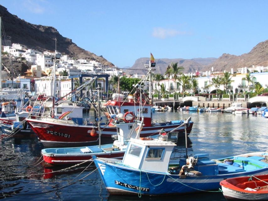 Puerto de Mogan: Friday Market Experience - Should you book the Puerto de Mogán market trip?