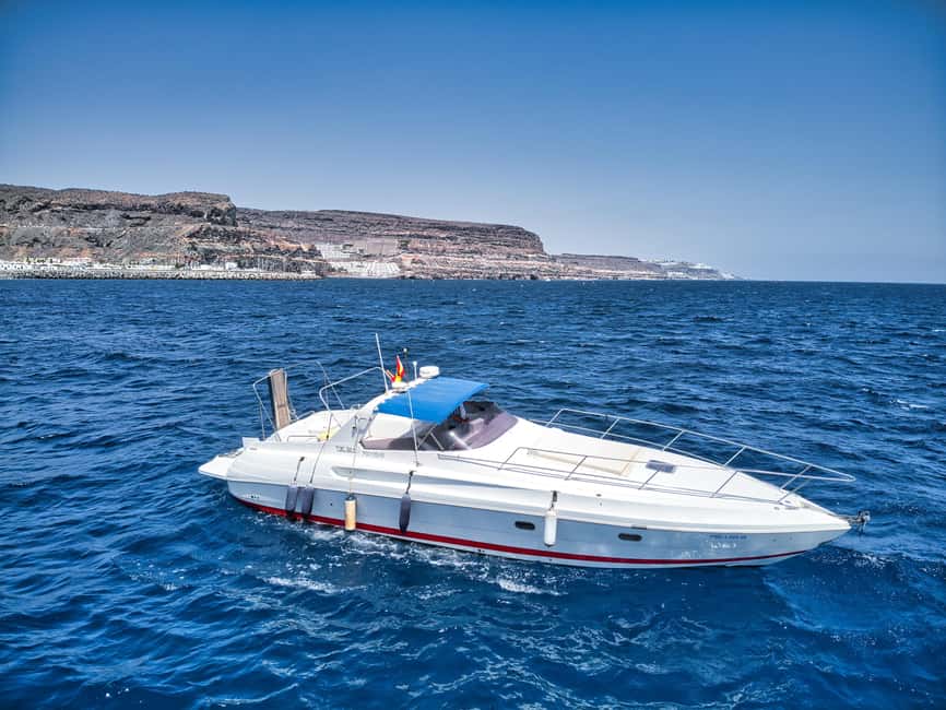 Puerto de Mogán: Private yacht up to 10 persons - Key points to know before booking