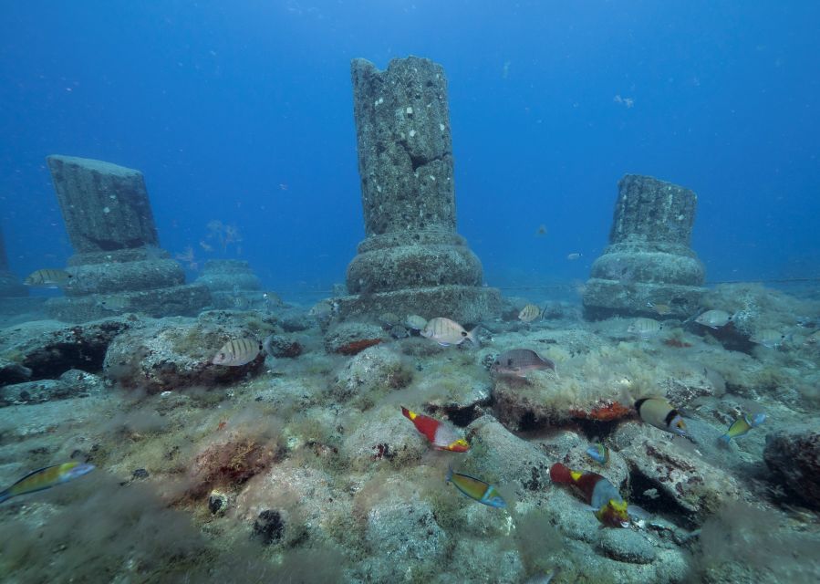 Puerto de Mogán: Submarine Tour - Who will enjoy this tour most
