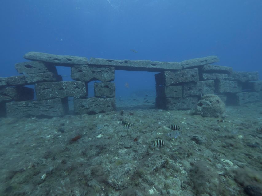 Puerto de Mogán: Submarine Tour - Boarding the Golden Shark