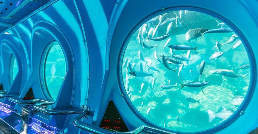 Puerto de Mogán: Submarine Tour - Shipwrecks, fish, and the artificial reef