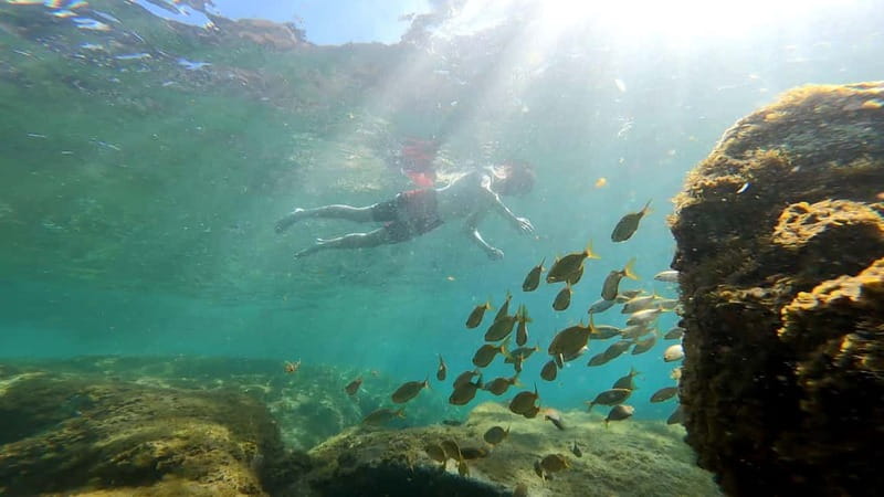 Puerto Mogán: Guided Adventure Kayak Tour in Caves & Snorkel - What this four-hour Mogán Caves route is really like