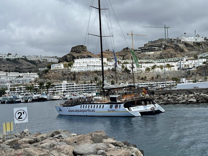 Puerto Rico : 2 hour Dolphin Catamaran Excursion - Should you book it?
