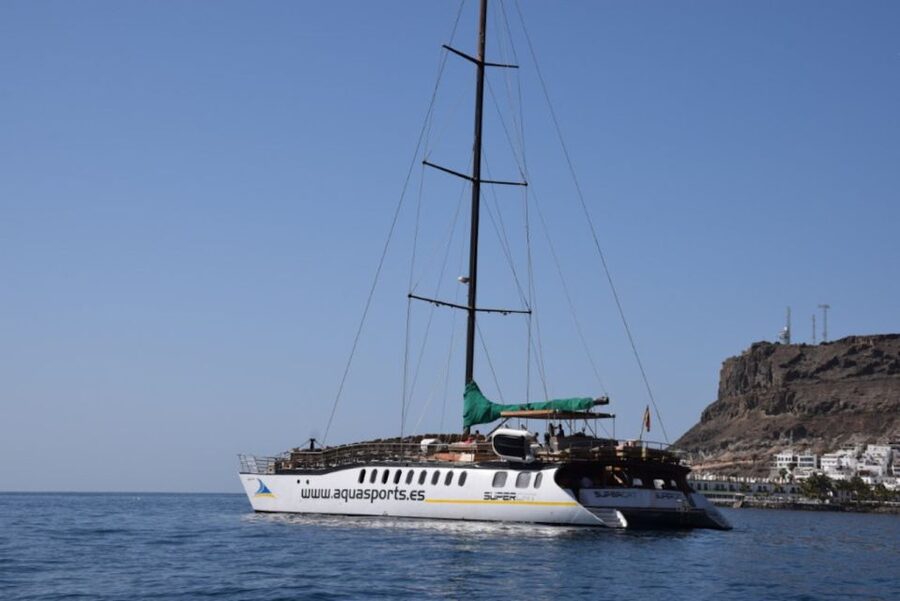 Puerto Rico : 2 hour Dolphin Catamaran Excursion - Two hours on a comfortable catamaran
