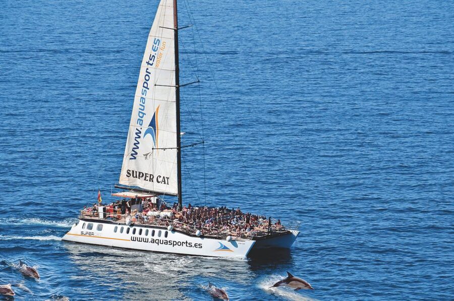 Puerto Rico : 2 hour Dolphin Catamaran Excursion - What the onboard service really includes