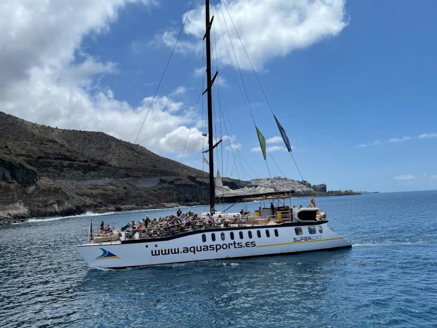 Puerto Rico : 2 hour Dolphin Catamaran Excursion - Is $41 a fair price?