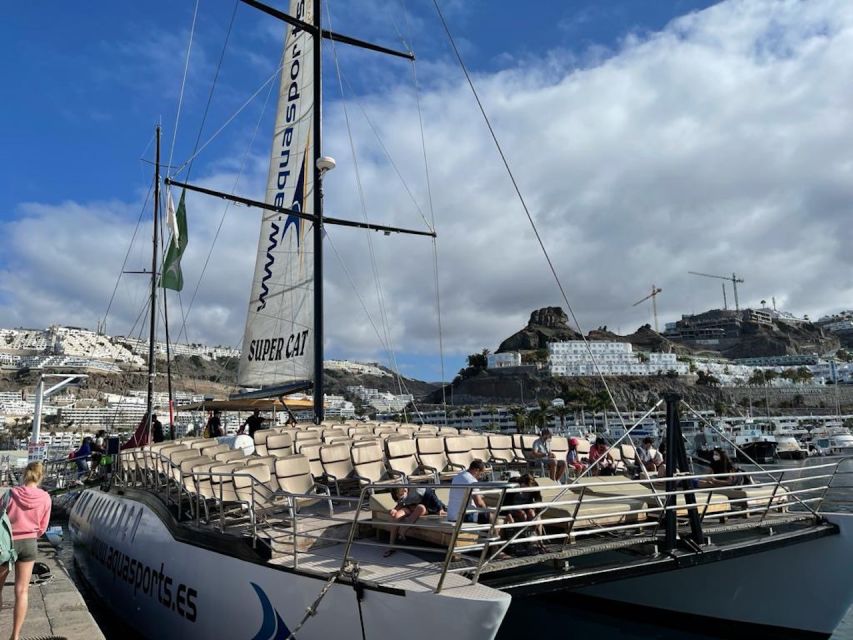 Puerto Rico : 2 hour Dolphin Catamaran Excursion - How to prepare for a better outing