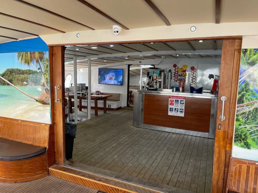 Puerto Rico : 2 hour Dolphin Catamaran Excursion - Who will enjoy this Puerto Rico catamaran trip?