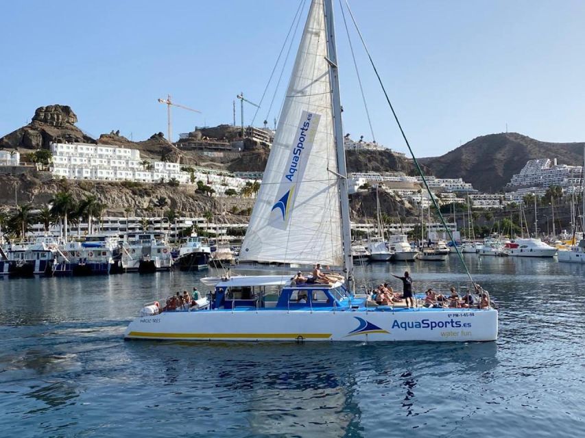 Puerto Rico: 4-Hour Catamaran Excursion in the South - Safety and comfort deserve a closer look