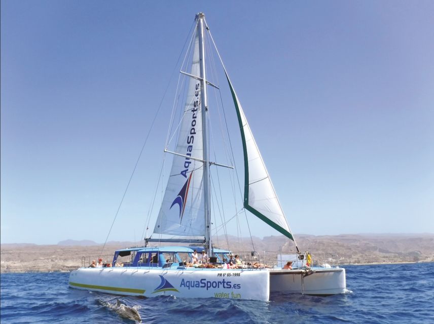 Puerto Rico: 4-Hour Catamaran Excursion in the South - Four hours of cliffs, caves, and open water