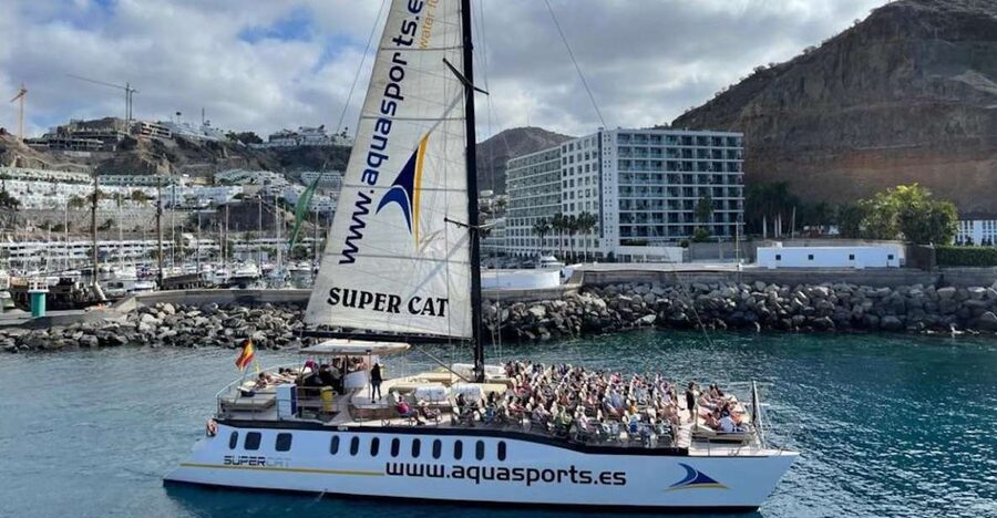 Puerto Rico de Gran Canaria: Premium Dolphin Catamaran Tour - Sea caves, cliffs, and the open Atlantic