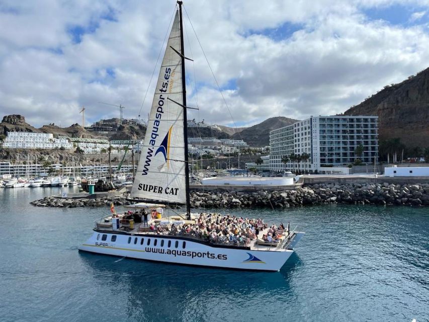 Puerto Rico de Gran Canaria: Premium Dolphin Catamaran Tour - Lunch, open bar, and the honest food assessment