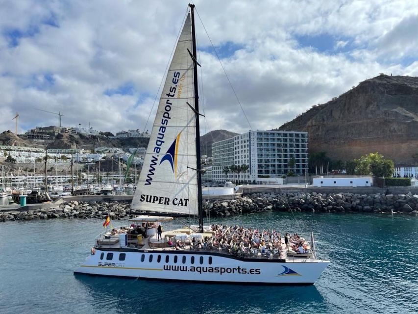 Puerto Rico de Gran Canaria: Premium Dolphin Catamaran Tour - The swim stop and included water activities