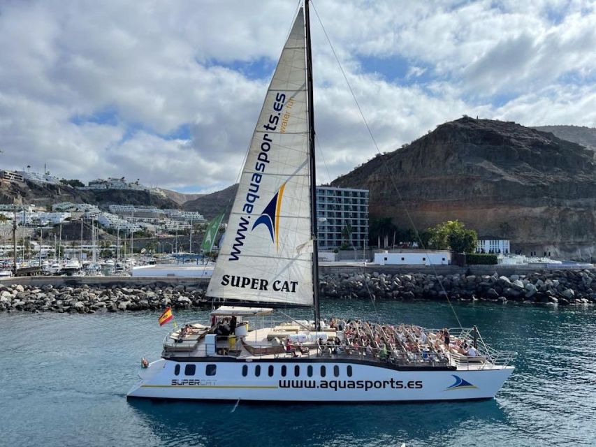 Puerto Rico de Gran Canaria: Premium Dolphin Catamaran Tour - Who will enjoy this catamaran most?