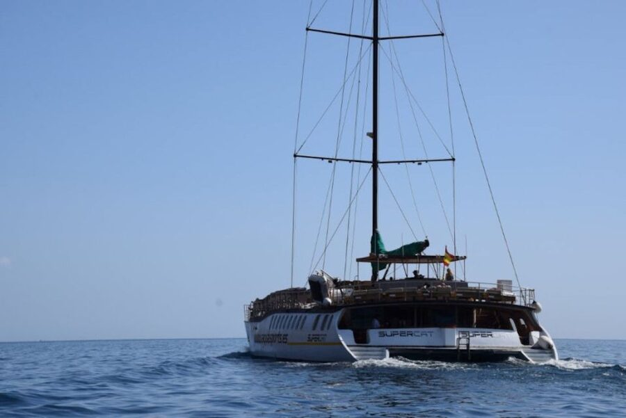 Puerto Rico de Gran Canaria: Premium Dolphin Catamaran Tour - Practical advice for a better day