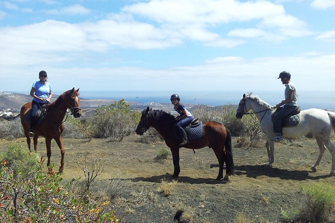 Relaxing Horse Riding Tour in Gran Canaria - Key points to know before you book