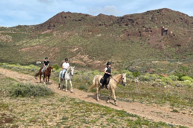 Relaxing Horse Riding Tour in Gran Canaria - Starting with the horses at Camino del Cardonal