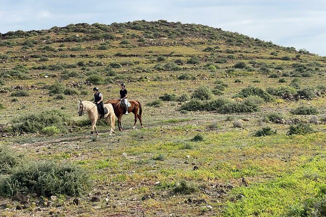 Relaxing Horse Riding Tour in Gran Canaria - Why families may find it easy to enjoy