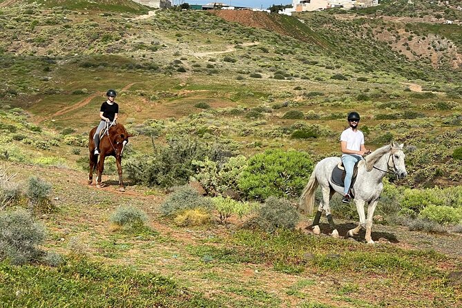 Relaxing Horse Riding Tour in Gran Canaria - Is $42.17 good value for 90 minutes?