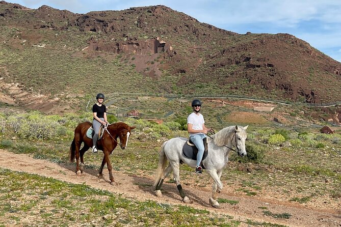 Relaxing Horse Riding Tour in Gran Canaria - Practical details that can affect your booking