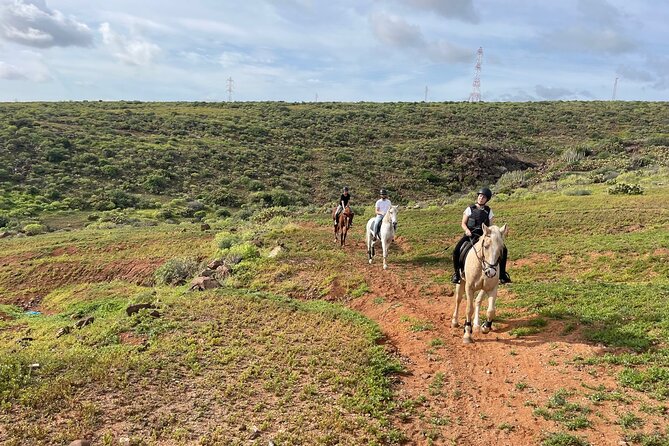 Relaxing Horse Riding Tour in Gran Canaria - A slow ride through countryside near Cuatro Puertas