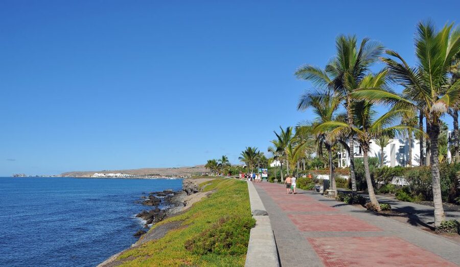 Rent a City Bike 18 gears from 9 hours to 7 days: Maspalomas - Maspalomas Oasis and its winter birds