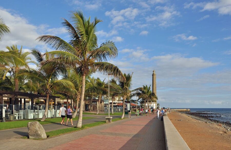 Rent a City Bike 18 gears from 9 hours to 7 days: Maspalomas - Punta de las Mujeres and Gran Canaria lizards