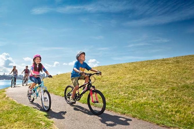 Rent City Bike 18 gears from 4 hours to 7 days: Visit Maspalomas - The raised Costa Canaria cycle path