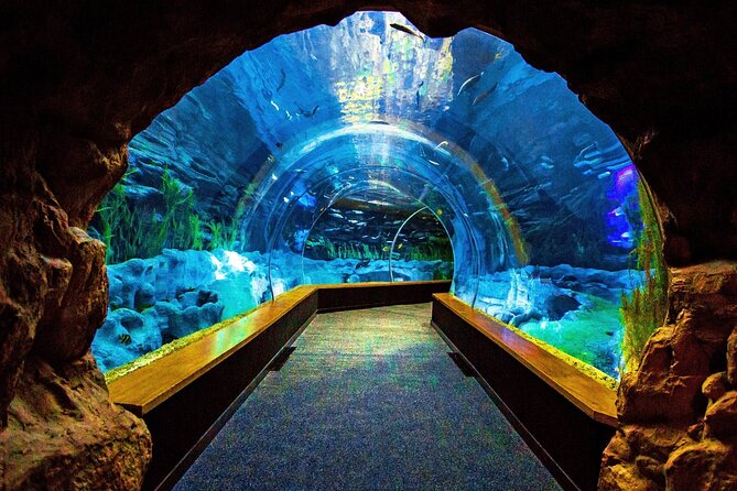 Sea and Mountain Full Day Tour with Lunch - Why this Gran Canaria day works
