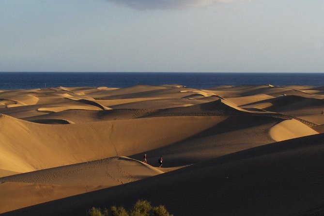 Segway Experience 1 hour Sightseeing Tour : Visit Maspalomas Dunes, Playa Ingles - Seeing the protected Maspalomas dunes responsibly