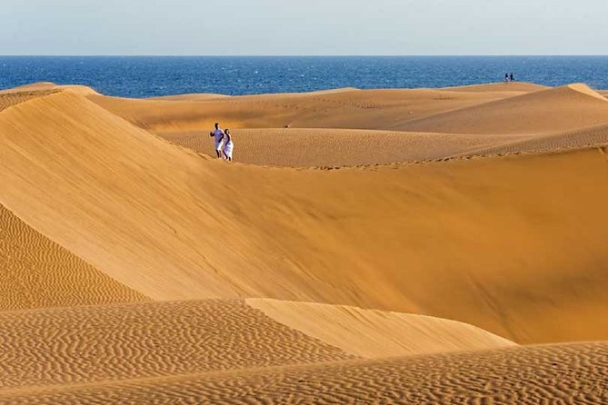 Segway Experience 1 hour Sightseeing Tour : Visit Maspalomas Dunes, Playa Ingles - Paseo Costa Canaria and the first dune views