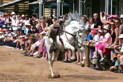Sioux City Park Entrance Ticket