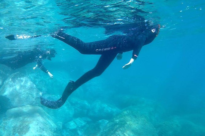 Snorkeling in Gran Canaria with Hotel Pick-up - Is $66.37 a fair price?